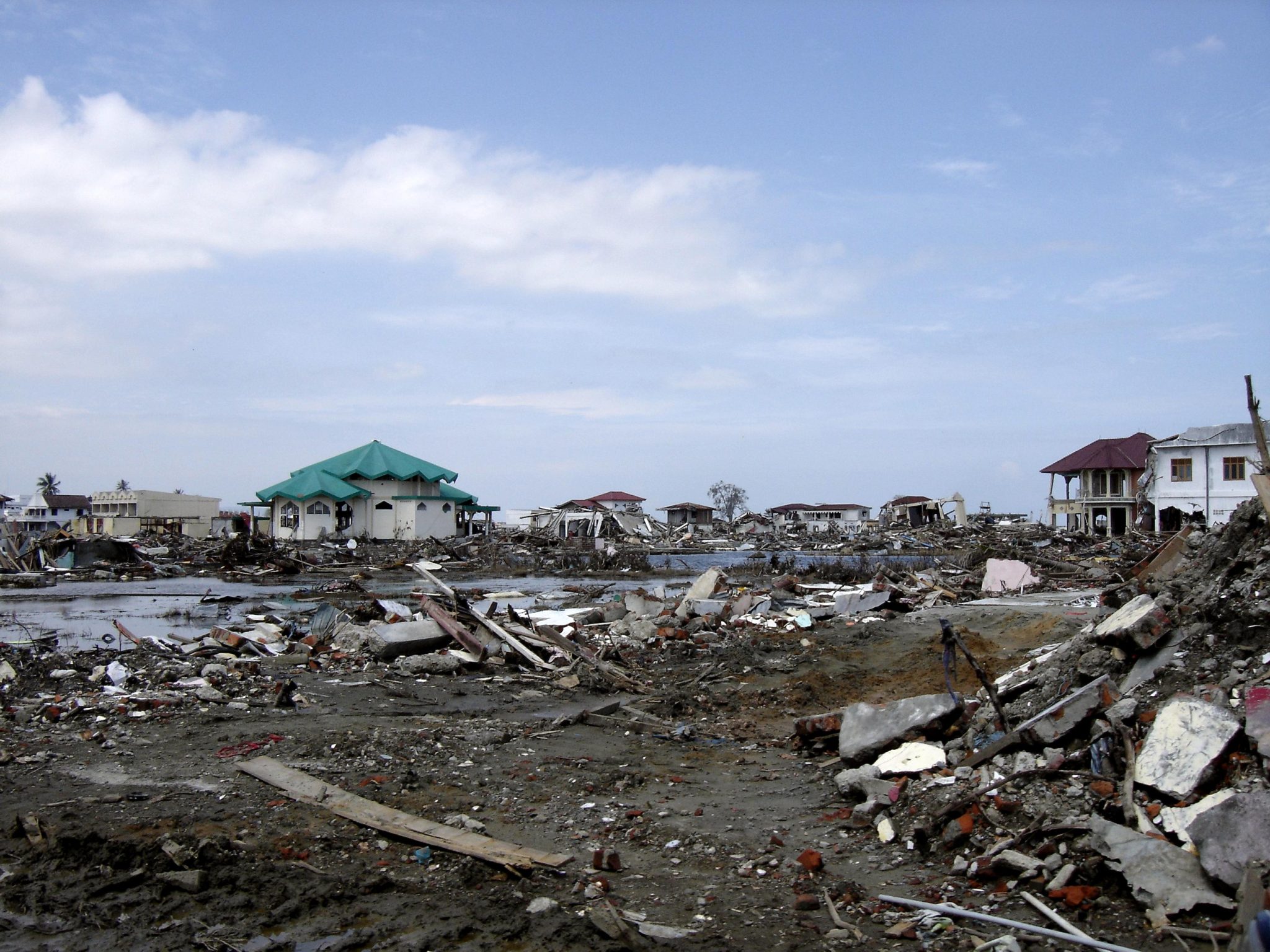 Disaster Victim Identification - Skeleton·ID